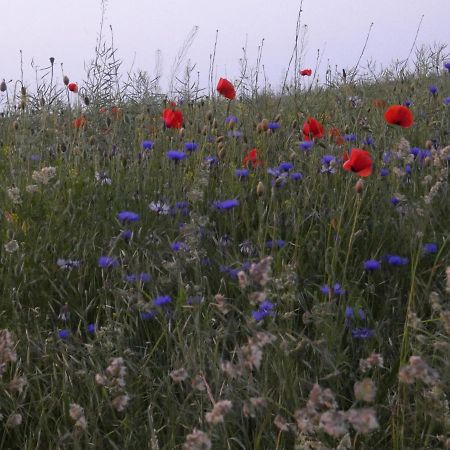 Mueritzbrise 1 Διαμέρισμα Ludorf Εξωτερικό φωτογραφία